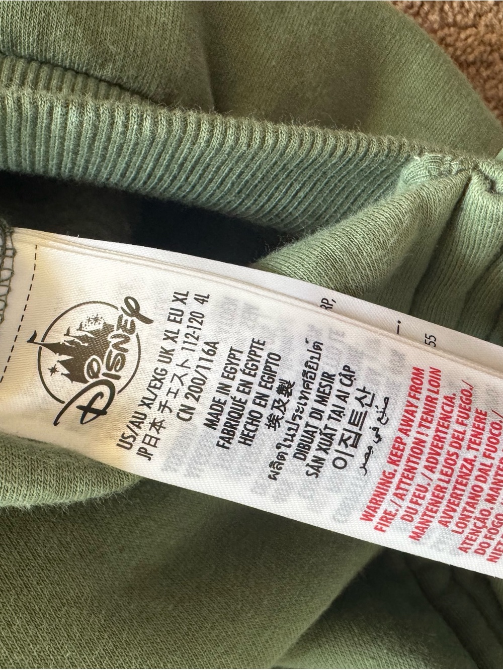 Disney Sage Green Hoodie - Picture 8 of 13